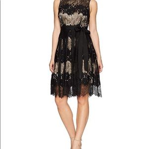 TAHARI by Arthur Levine fit and flare lace dress